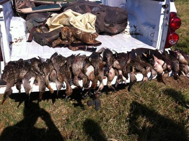 Duck Hunt Texas